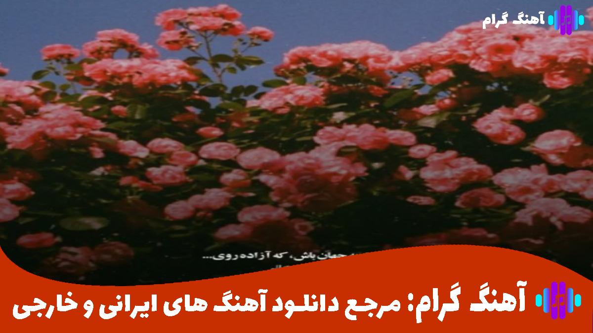 کاور آهنگ کاش بری یادم اونجوری یاد تو رفتم از امیر تتلو